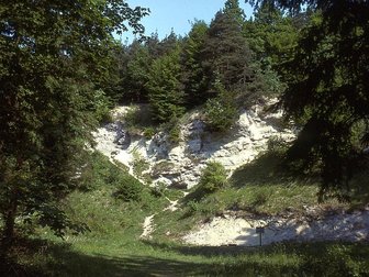 Der Suevitsteinbruch in Riesbürg-Utzmemmingen